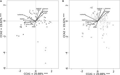 Spatial Distribution of Highland Cattle in Alnus viridis Encroached Subalpine Pastures